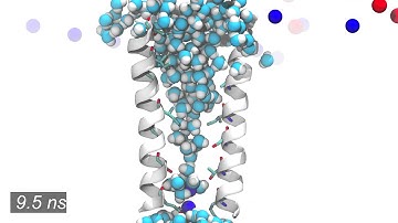 Pore hydration of a pentameric ligand-gated ion channel (pLGIC)