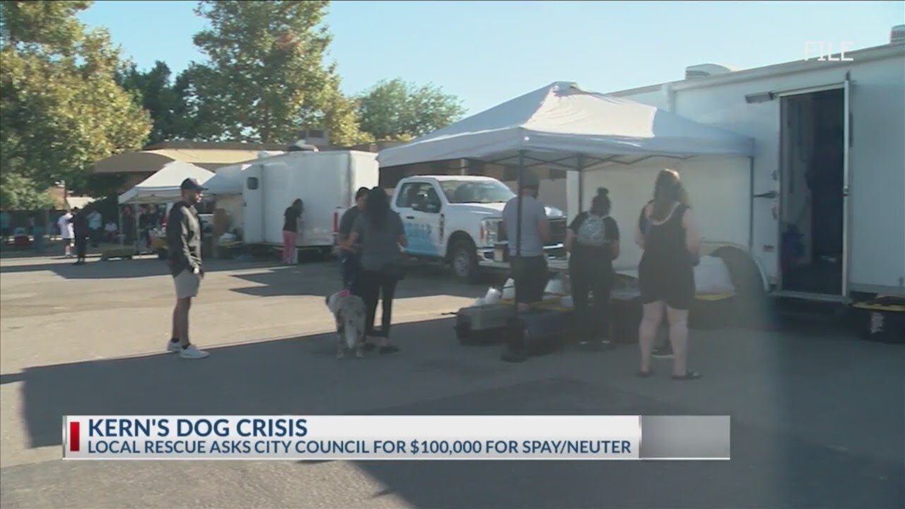 Kern's Dog Crisis: Local rescue asks for $100 thousand for spay and neuter