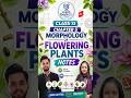 Class 11 Biology NotesChapter 5: Morphology of Flowering Plants #reneet2026 #biologynotes #neet