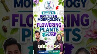Class 11 Biology NotesChapter 5: Morphology of Flowering Plants #reneet2026 #biologynotes #neet