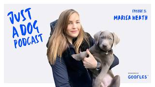 What does a truly healthy dog look like? Breeding, ethics, and the IHA tool with Marisa Heath | IHA