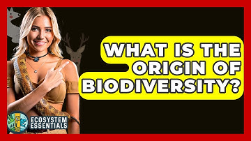 What Is The Origin Of Biodiversity? - Ecosystem Essentials