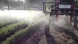 Tractor Sprayer pumps attached with mini agriculture tractor