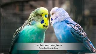 Tum hi aana ringtone #ringtone #tiktok #trending #tumhiaana #mobileringtone #Marjaavaan