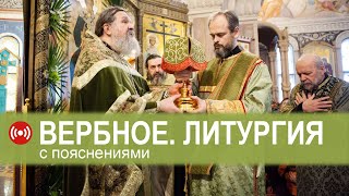 12.04.2020. ВЕРБНОЕ Воскресенье. Литургия. Запись трансляции богослужения.