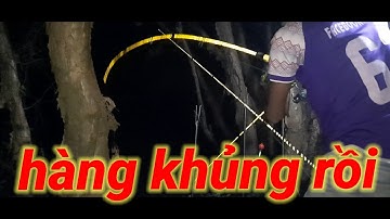 CÂU CÁ TRA SÔNG // CÁ ĂN LIÊN TỤC //CHAM TRÁNG CÁ TO LÚC NỮA ĐÊM