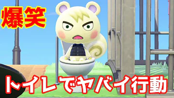 あつ森ジュン可愛い あつ森ジュン可愛い