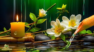 Relaxing Meditation Music, Sleep Music, Instrumental Music, Calming Music, Bamboo, Water Sounds, BGM