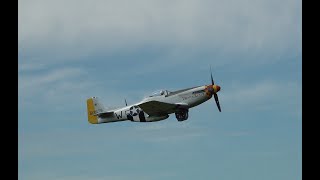 Mustang P51 Trusty Rusty Hoogeveen X