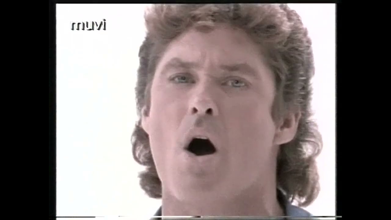 David Hasselhoff - Everybody Sunshine