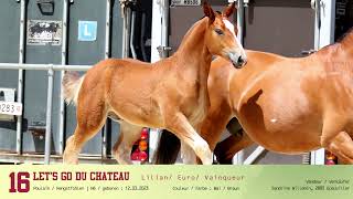 Los Nr 16 Lets Go Du Chateau