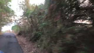 IMG 5379