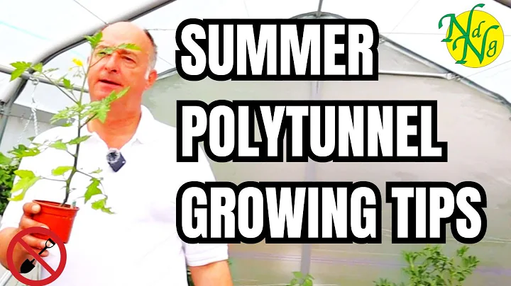 Summer Polytunnel Gardening Tips 2024: Boost Your Harvest || What to grow in a polytunnel in summer