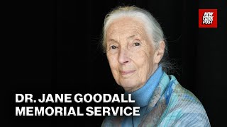 Watch Live: Memorial Service for Dr. Jane Goodall