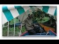 HIPPO BOAT RIDE | Victoria Lake