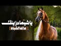 شيلة يا شيماء زينك ماله شبيه فهاد العلي 2026 رقص mp3
