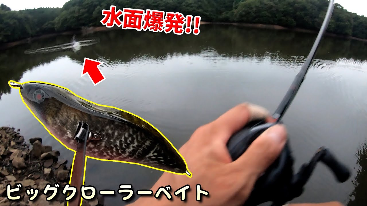 ビッグクローラーベイト（巨大ルアー）を投げたらブラックバスが盛大に