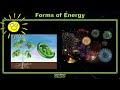 Exploring The Five Forms Of Energy Through Real-Life Examples