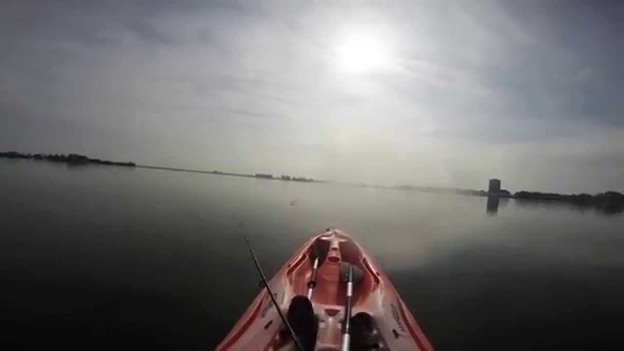 Kayak Fishing Sarasota Bay YouTube