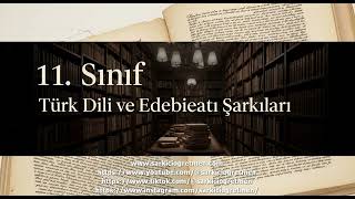 11. Sınıf Türk Dili ve Edebiyatı Absürd Tiyatrodan Epik Tiyatroya 1950 80 Arası Türk T kapak görseli