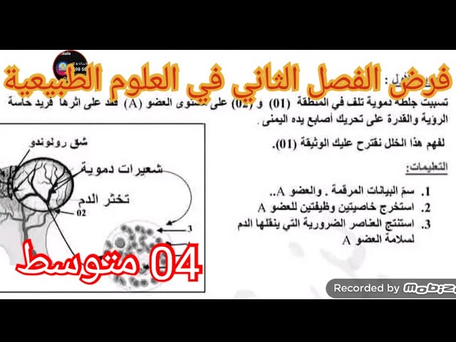 فرض الفصل الثاني في العلوم الطبيعية السنة الرابعة متوسط 2026