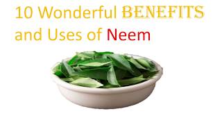 10 Wonderful Benefits and Uses of Neem: