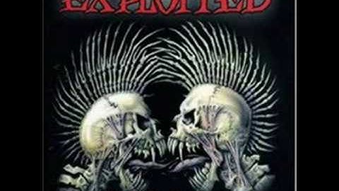 The Exploited - Punk