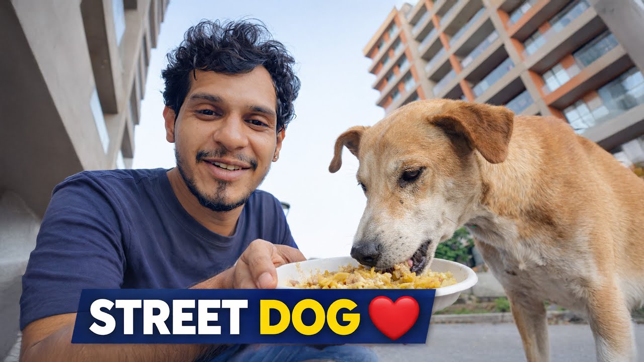 bejubaan dosto ke sath ek sukun bhara pal...