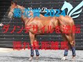 菊花賞2024 ダノンデサイルを逆転する史上最高レベルの上がり馬