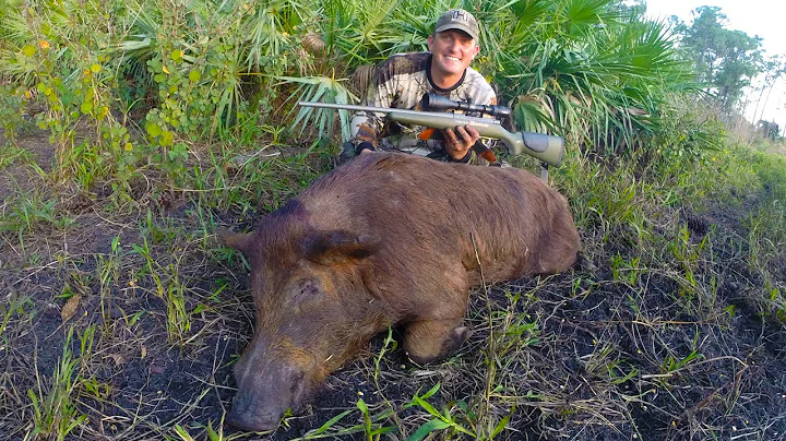 DIY! Hog Hunt, Skin and Quarter! FireArm Friday!! Deer Meat For Dinner!!!