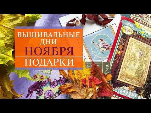 Видео: Сагино разреши ли да играе tonto?