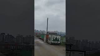 공장 단지 사이 사이에 푸르른 청보리밭# 5월 풍경# 광주 하남 공단