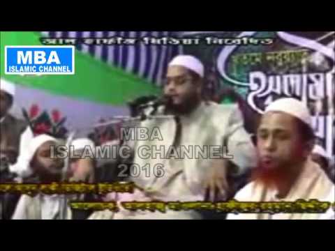 Maulana Hafizur Rahman Siddiki About Batiler Birudde 2016