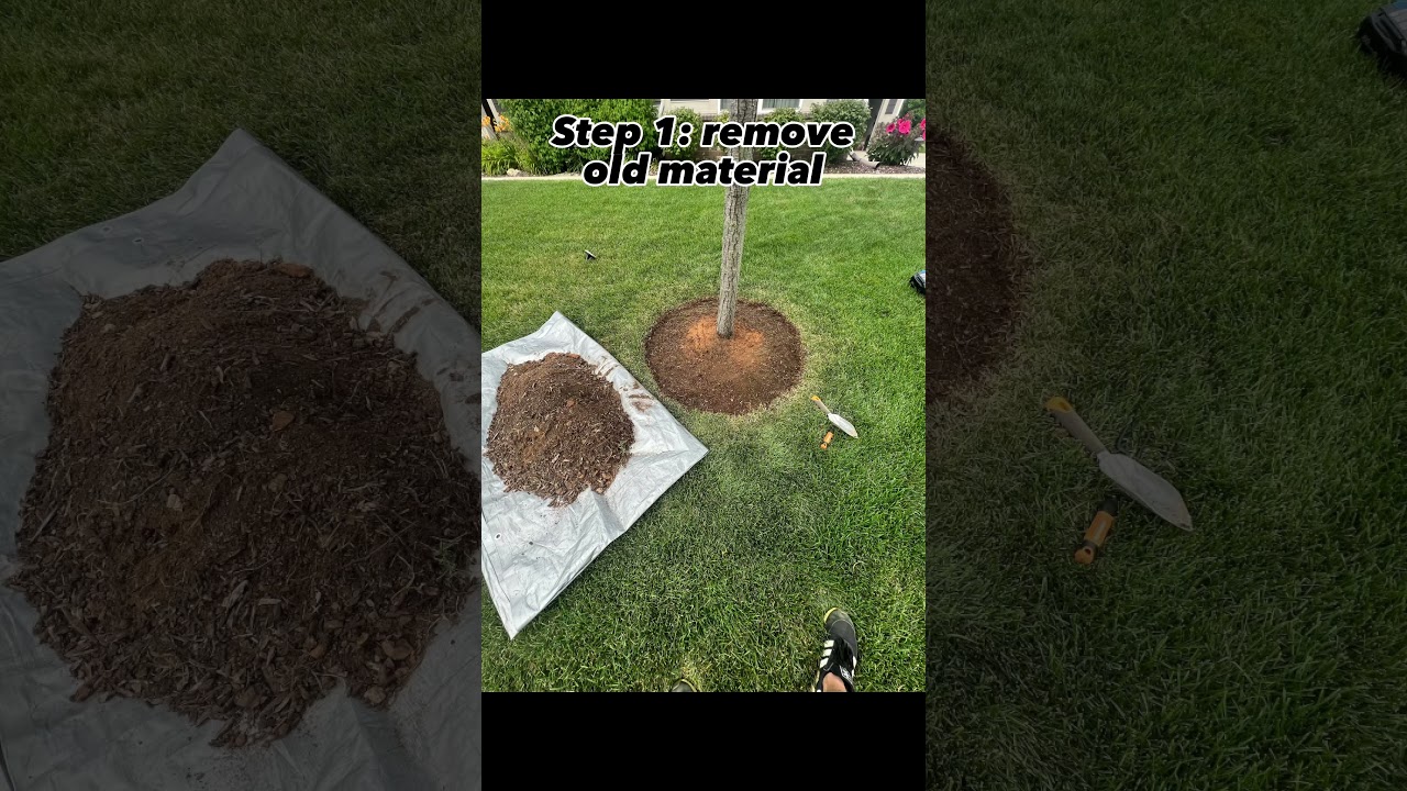 Defined edges and new mulch 😍 