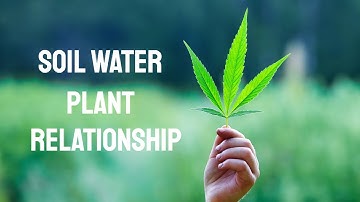 What is Soil Water Plant Relationship?