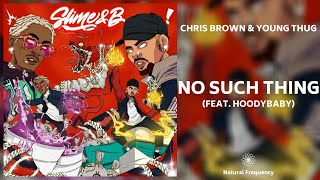 Chris Brown - No Such Thing ft. Hoodybaby (432Hz)