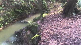 River jump fail. I hesitated!