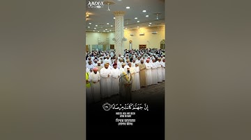 سورة النبأ SURAH AN-NABA #عبدالولي_الاركاني #abdulwali_alarkani
