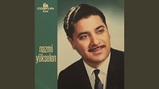 Tokadın Evleri Resimi