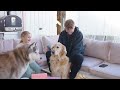 Dogs of the West | Episode 1