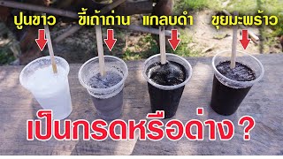 ไขข้อสงสัย! ปูนขาว ขี้เถ้าถ่าน แกลบดำ และขุยมะพร้าว เป็นกรดหรือด่าง