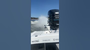 Thumbnail of Listen to that 2.5 Mercury Sing! Freshly built 280 Spec V6 2 Stroke Mercury Sea Call Marine Bullet