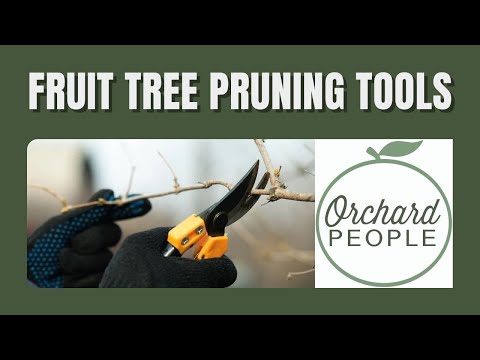 Top Fruit Tree Pruning Tools 🪚🌳 🧰 with OrchardPeople.com