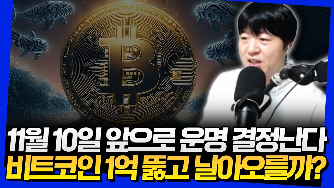 11월 10일 앞으로 운명 결정난다! 비트코인 1억 뚫고 날아오를까?
