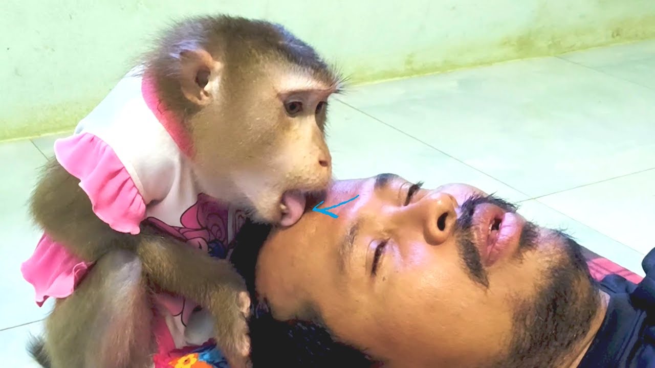 Very Different Apply Most Amazing Monkey Grooming Tongue On My Weet Head