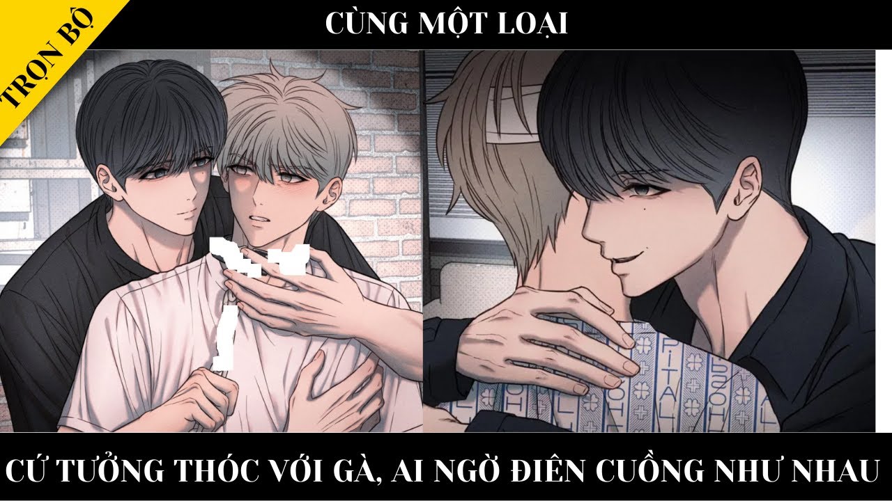TRỌN BỘ || CÙNG MỘT LOẠI - Cứ tưởng thóc với gà, ai ngờ điên cuồng như nhau || Review truyện Đam Mỹ
