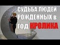 СУДЬБА ЛЮДЕЙ ,РОЖДЕННЫХ В ГОД КРОЛИКА. ЧАСТЬ 2