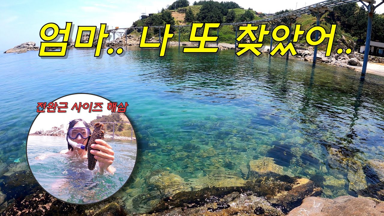 국내 스노클링 포인트 1대장 후보