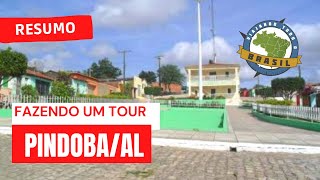 Pindoba Alagoas fonte: i.ytimg.com Fonte: i.ytimg.com