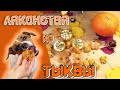 Быстрые Рецепты Лакомств Для Собак из ТЫКВЫ /💥БЕЗ ВЫПЕКАНИЯ💥